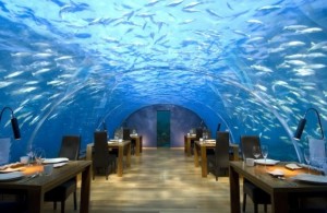 Underwater Hotels that Steel the Limelight