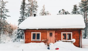 The Environmentally Friendly Reasons to Live in a Tiny House