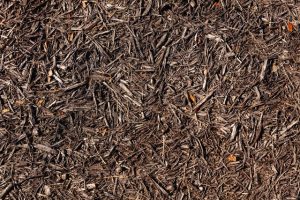 Choosing the Best Mulch for your Trees