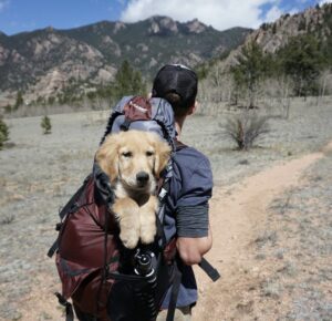 5 Unforgettable Experiences for Twenty-Somethings